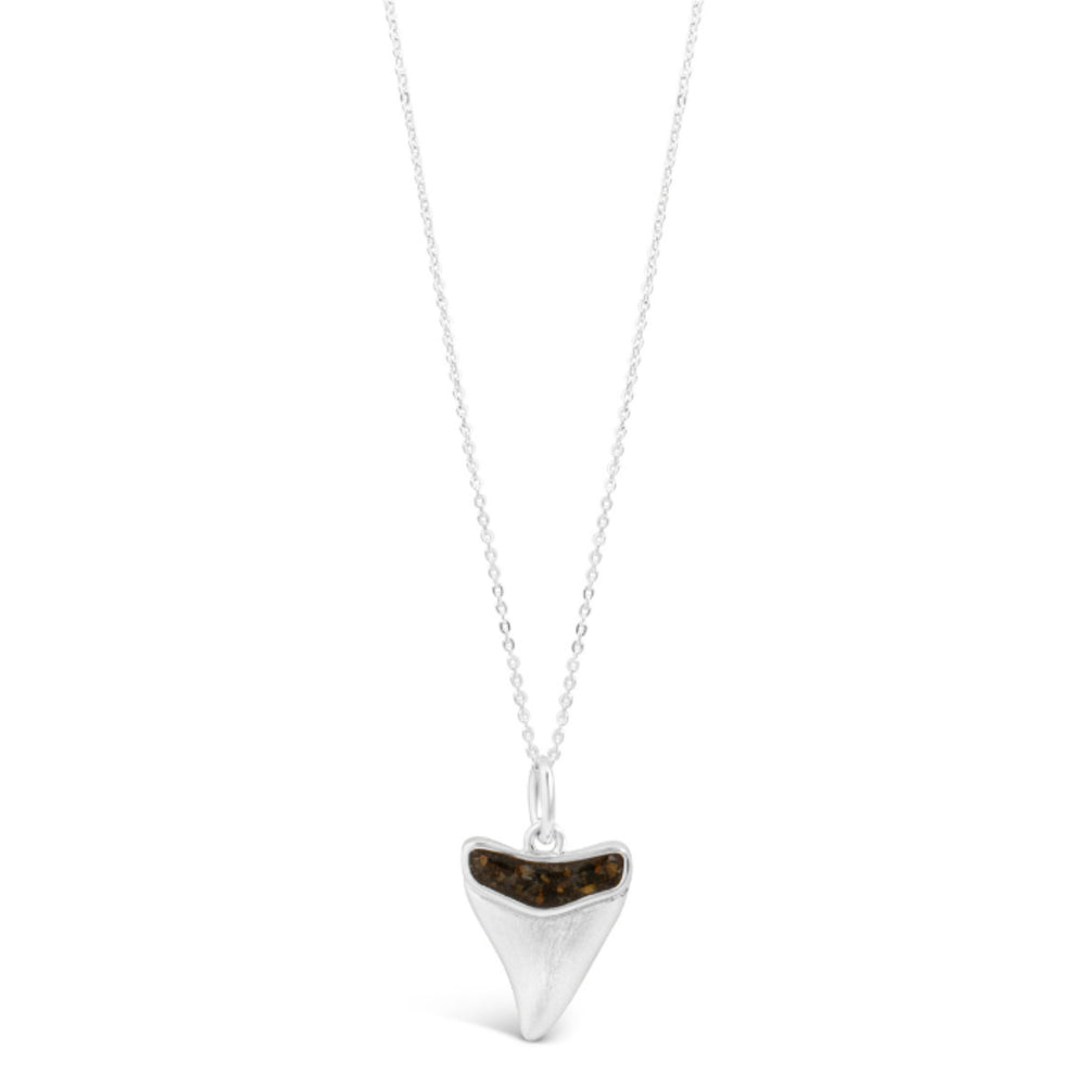 Dune Shark's Tooth Necklace