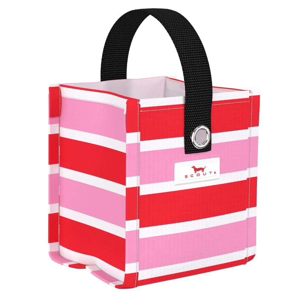 Scout Mini Package Gift Bag - Holiday 2025
