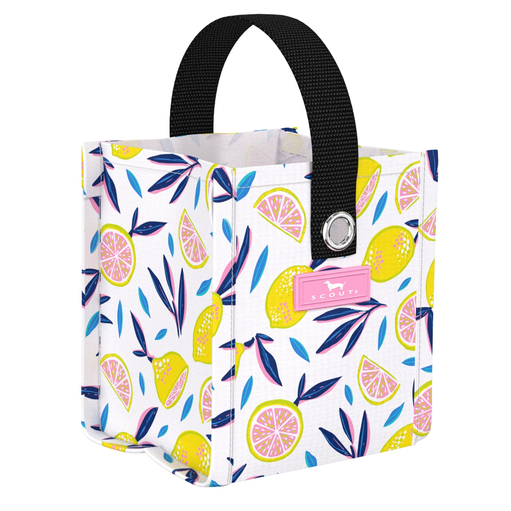 Scout X-Small Square Gift Bag - Spring 2026