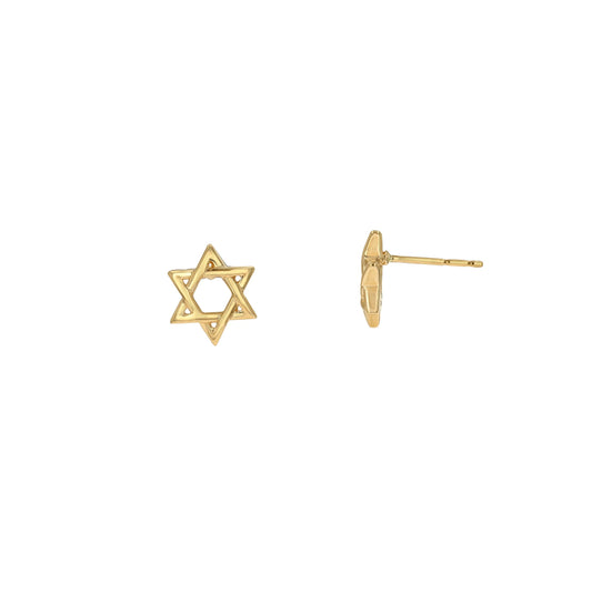 Rachel Reid 14k Gold Jewish Star Stud Earrings