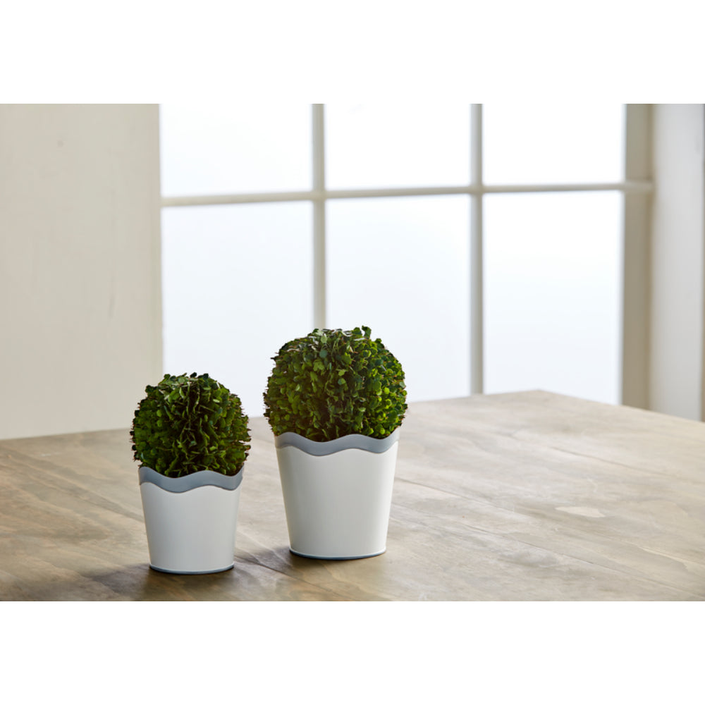 Mud Pie Wavy Boxwood Pot