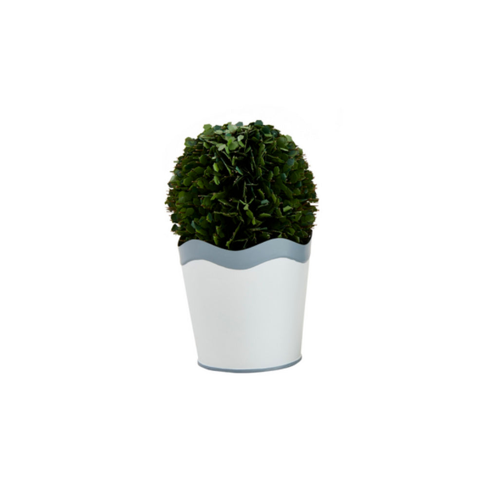 Mud Pie Wavy Boxwood Pot