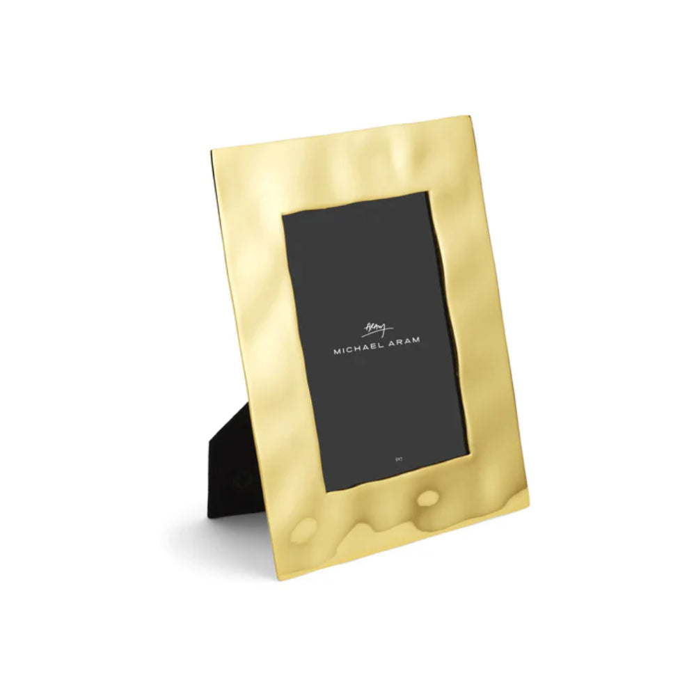 Michael Aram Reflective Gold Frame
