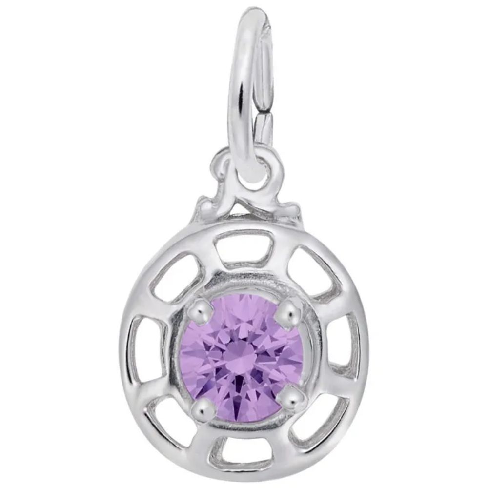 Sterling Silver Insightful Birthstone Charm