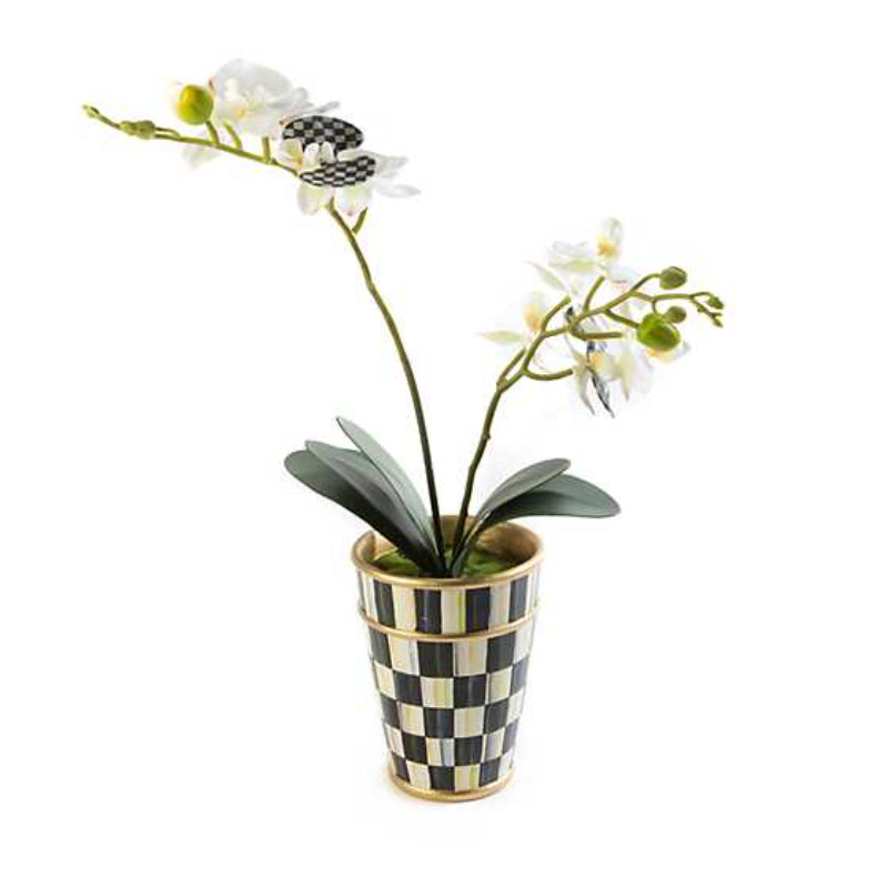 MacKenzie-Childs Potted Orchid