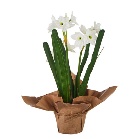 10.75" Real Touch Potted Paperwhites