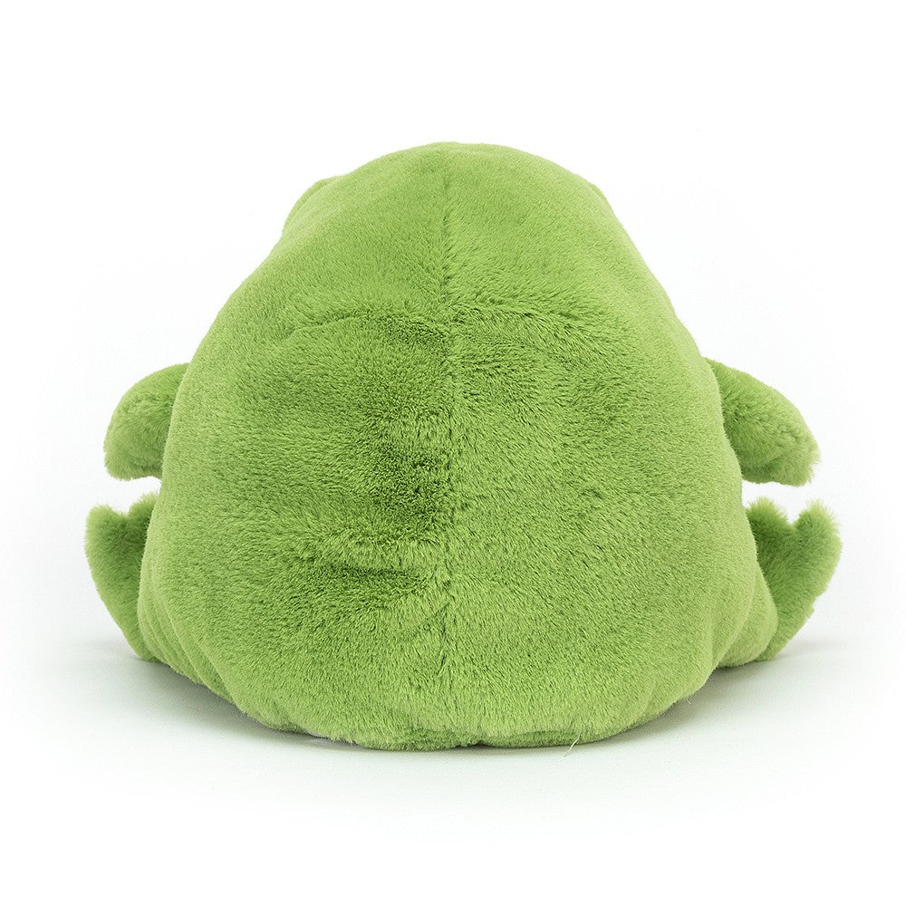 Back side of a  green plush frog toy on a white background