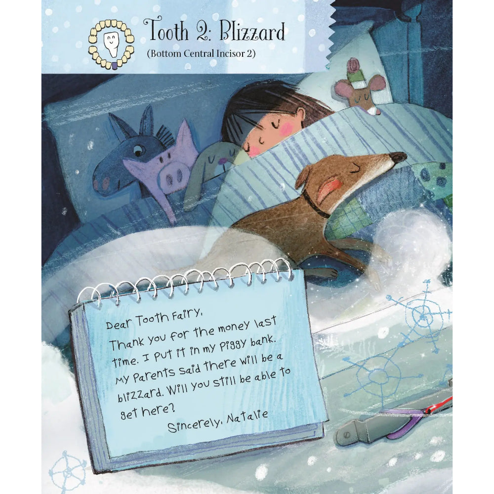 Letters From My Tooth Fairy by Brooke Hecker